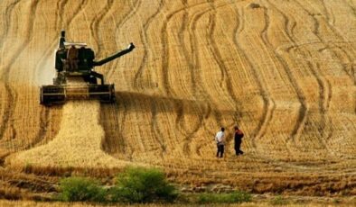 Tarım alanları 30 yılda yüzde 13 azaldı