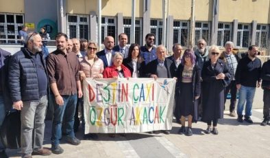 Muğla’da bakanlığın “Sanayi alanı” kararı mahkemeye taşındı