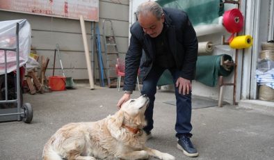 Köpeğin havlaması sahibine 700 bin TL’ye patladı