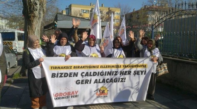 Bakanlığa yürüyen Agrobay işçileri: Koskoca bakanlar duymuyor