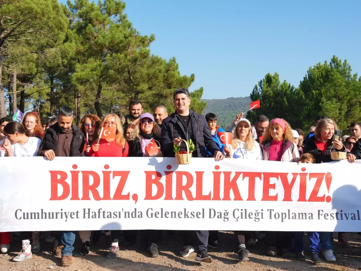 Ataşehir Belediyesi Geleneksel Dağ Çileği Toplama Festivali’ni Düzenledi